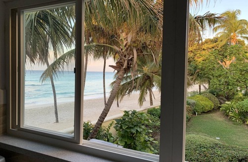 Dover Apartment | Beachfront Apartment in Paradise: Turtles Nest D