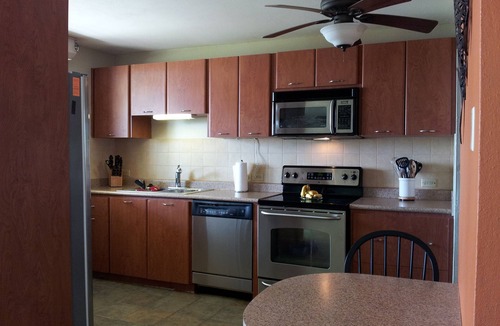 Solimar Condo | Beachfront-Level Private Oasis with Power Backup Generator and A/C for all Areas