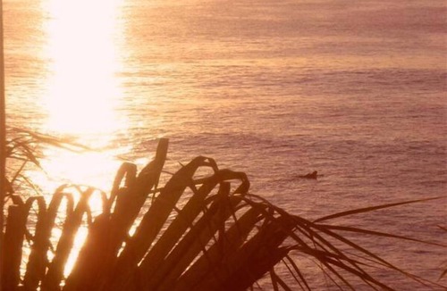 San Jose del Cabo Condo | Beachfront One-Bedroom Condo with Stunning Views in San José del Cabo