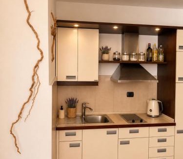 Rafajlovici Apartment | Beachfront Pearl