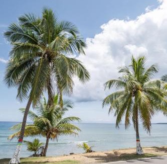 Guaniquilla Apartment | BeachFront Perla Del Mar Apt #3 Private Balcony, Wifi, Pool, Backup Generator & Solar Panel