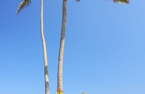 West Selemadeg Villa | Beachfront Villa Inca- Breakfast included