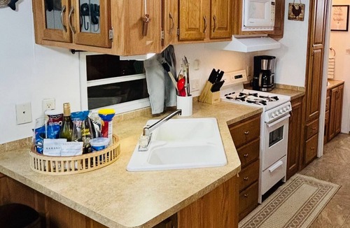 Salt Springs House | Bear Forest Retreat- 2-bedroom mobile home in peaceful Salt Springs with AC