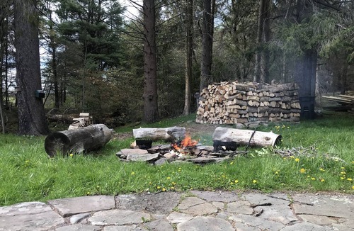 Delhi House | Bear Hill Farm, Delhi NY - Restored 1850 Farmhouse On Winding Country Lane
