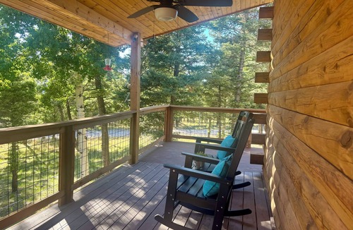 Angel Fire Cabin | Bear Necessities Lodge on Ski Mountain Fire Pit, Large Deck, Grill & Wildlife