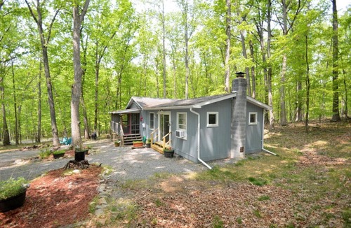 Great Cacapon Cabin | Bear Necessities -Forget your Worries!
