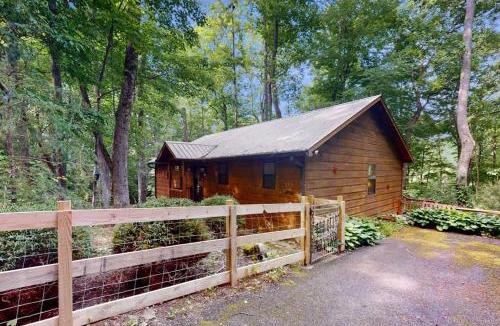 Hiawassee House | Bear Necessity Cabin