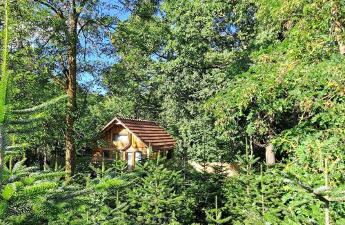 Lupeni Ski Chalet | Bear Watching Tiny House
