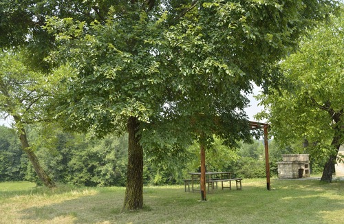 San Zenone degli Ezzelini Apartment | Beautiful apartment surrounded by greenery a stone's throw from the mountains