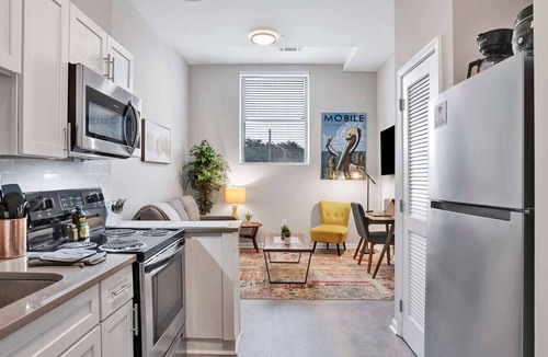 Central Business District Apartment | Beautiful 1 BR Renovated Apt in downtown