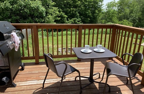 Mongaup Valley Apartment | Beautiful 2 Bedroom Apartment, 8 minutes from Bethel Woods!
