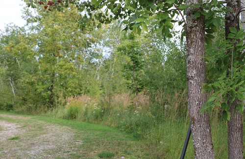 Sheguiandah Cottage | Beautiful 3 bedroom cottage in a treed setting 1/2 mile to water access.