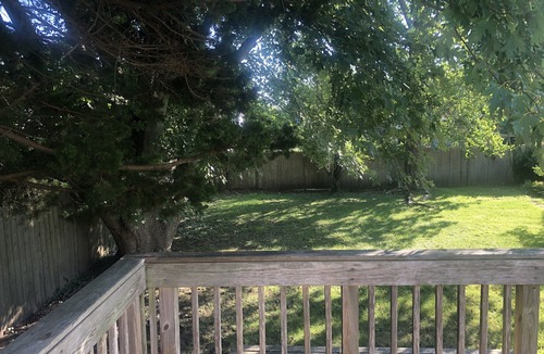 Cape May Cottage | Beautiful 3 bedroom cottage with big fenced in backyard. Great location to town.