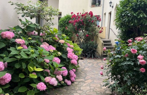 Stendal Apartment | Beautiful apartment on the ground floor, best city center location near the market square, with own parking space