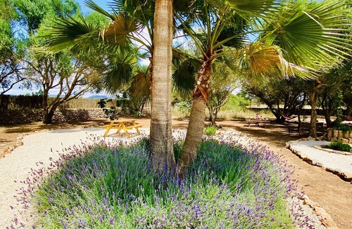 Campos House | Beautiful Finca Sa Canova Agroturismo in Campos