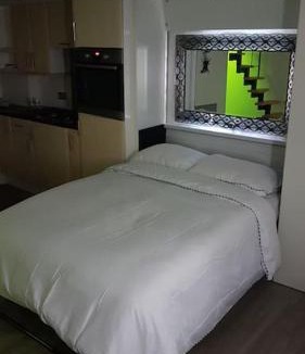 Rochester East Ward Apartment | Beautiful holiday studio in the heart of Rochester