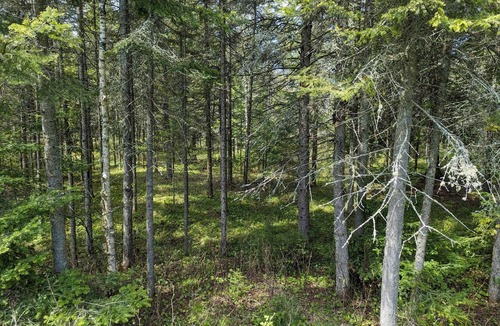 Sister Bay House | Beautiful Log Home on 5 acres private beach-steps down the road!