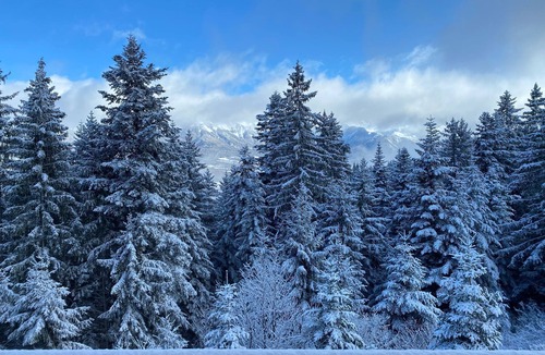 Selonnet Ski Chalet | Beautiful modern chalet, exceptional mountain and pine views