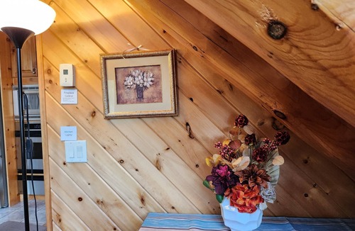 Siren House | Beautiful, modern log cabin on a great swimming and fishing lake with privacy!