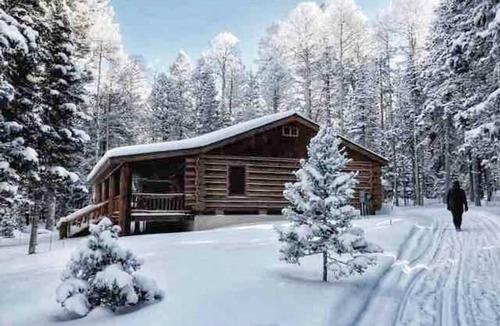 Cimarron Cabin | BEAUTIFUL MOUNTAIN LOG CABIN PETS ALLOWED