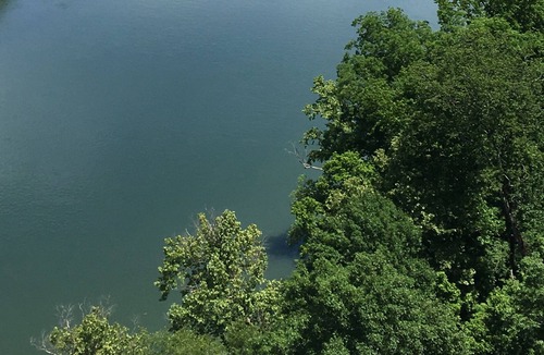 Cotter House | Beautiful Ozark bungalow within walking distance to the White River.