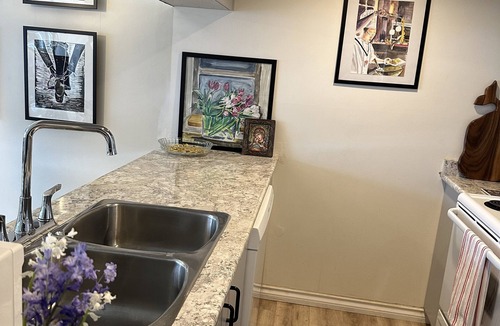 Downtown Vancouver Apartment | Beautiful Spacious Apartment in the Best Part of Downtown Vancouver