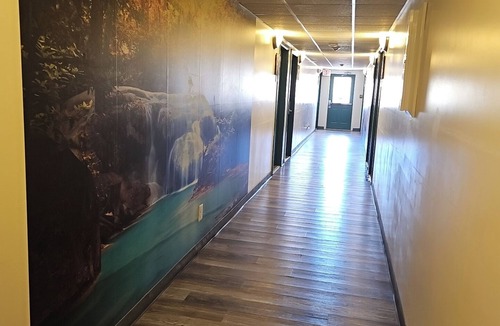 Whitehall Hotel | Beautiful spacious, pet friendly, 2 beds, 1 bath