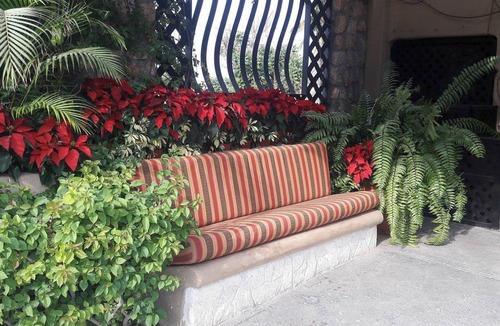 Ildefonso Green Apartment | Beautiful studio located 7 blocks from La Marina Cabo San Lucas
