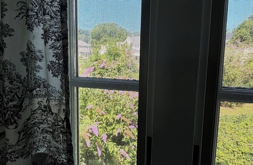 West Mystic Apartment | Beautiful Studio overlooking the Mystic River