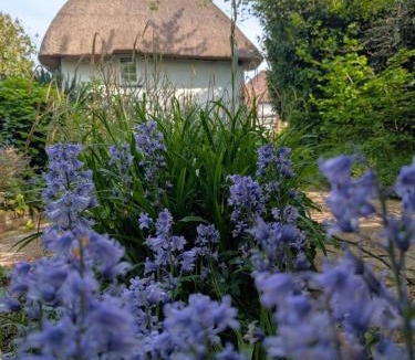 Chichester House | Beautiful Thatched Cottage with Outdoor Pool, Secure Garden, Dog & Family Friendly! Chichester Holiday Properties