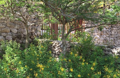 Northeast Coconut Grove Cottage | Beautifully Appointed Cottage Nestled In Upscale Grove Neighborhood