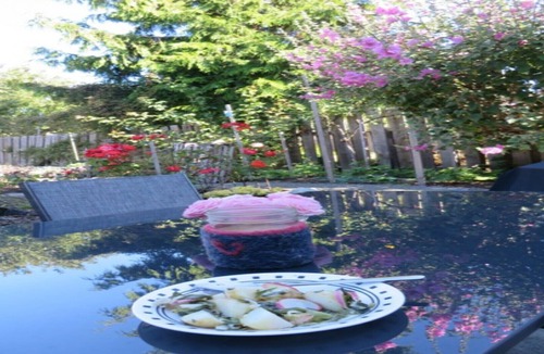 Saanich East House | Beautifully appointed suite is on a gorgeous, secluded, quiet Oceanfront street