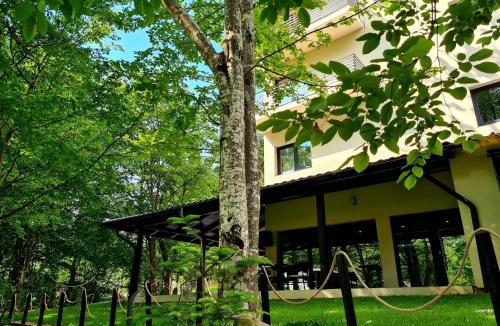 Valiug House | Beconia Riverside