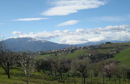Castignano Bed & Breakfast | Bed And Breakfast San Martino