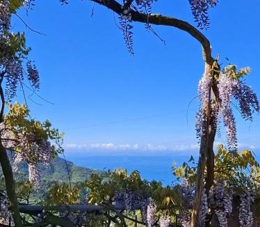 Moneglia Bed & Breakfast | Bed&Breakfast Bella Vita