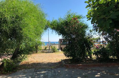 Cariati Bed & Breakfast | Bed & Breakfast "Camera a Sud"