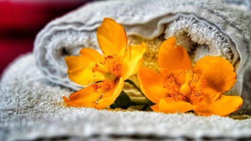 San Defendente Bed & Breakfast | Bed & Breakfast Milù