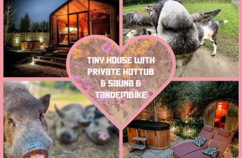 Almere House | Bed & Wellness Pigs and Pillows with private hottub and sauna and tandembike rental included in price near Amsterdam