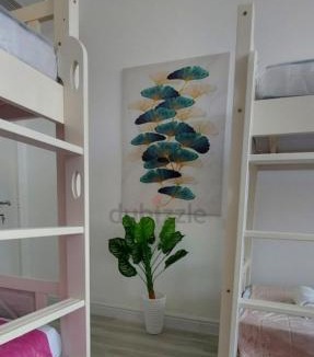 Jumeirah Village Circle Apartment | Bedspace in hostel apartment