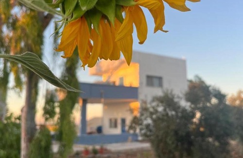 Jordan House | Beit Philodemus 2 - IRIS