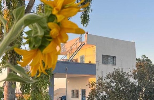 Jordan House | Beit Philodemus 2 - IRIS