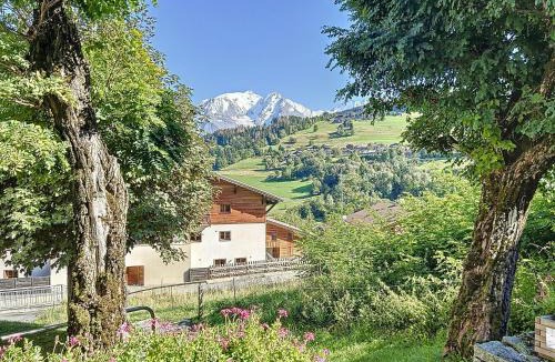 Combloux Apartment | Bel Apt au Centre de Combloux avec Jardin, Balcon, Wifi et Parking à 300m des Commerces - FR-1-560-52