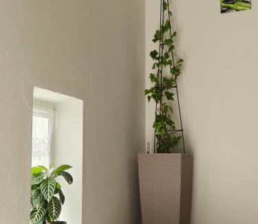 Eggenfelden House | Bel - Self Check-Inn