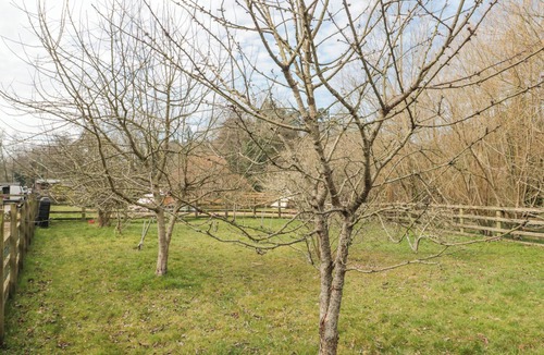 Camerton Cottage | Bell Tent 2