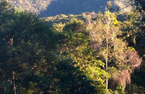 Iporanga House | Bella Serra