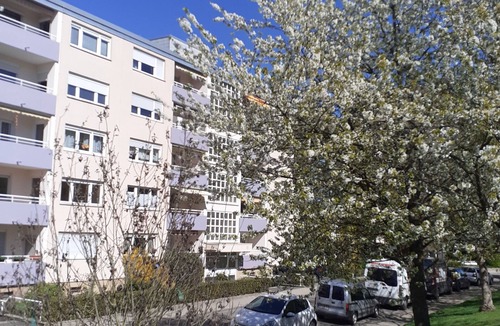 Saarbruecken Apartment | Bellevue vacation apartment