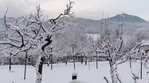 Feltre House | Belvedere 160