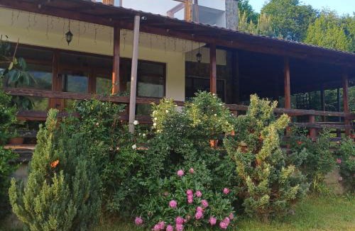 Gresu House | Belvedere GreșuLepșa