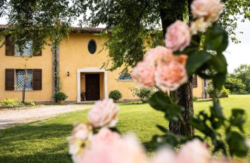 Zola Predosa Bed & Breakfast | Belvedere