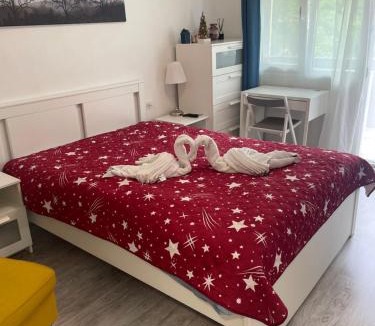 Baile Herculane Apartment | Belvedere